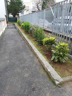 plantation